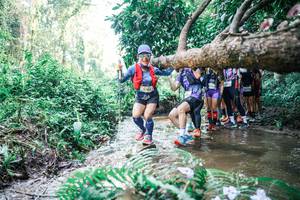 BIB: 
                            <button type="button" onclick="openModal(25468143)" class="btn btn-primary btn-sm float-right btn-popup" data-toggle="modal" data-target=".modal-high-quality">
                        <i class="fas fa-shopping-cart"></i> Add to Cart
                    </button>
                                            <button type="button" onclick="isThisMe(25468143, true)" class="btn btn-success btn-sm float-right btn-popup btn-isme hidden" data-toggle="tooltip" data-placement="bottom" title="นี่คือรูปของคุณใช่ไหม คลิกที่นี่เพื่อเอาเข้าอัลบั้ม">
                        <i class="fas fa-plus"></i> Add to album
                    </button>
                    <button type="button" onclick="isThisMe(25468143, false)" class="btn btn-warning btn-sm float-right btn-popup btn-isnotme hidden">
                        <i class="fas fa-ban"></i> Remove from album
                    </button>